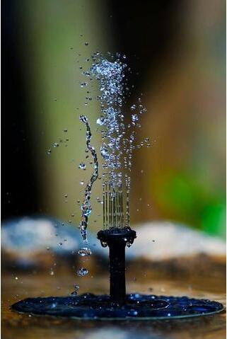 Solar Water Garden Floating Fountain